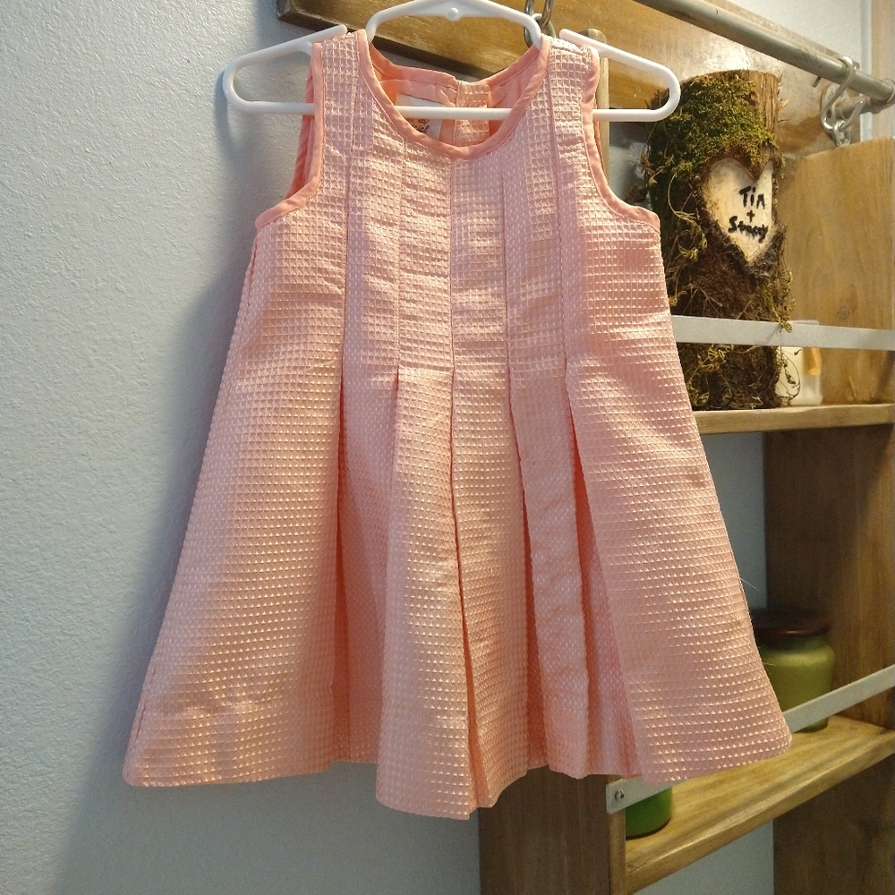 Special Edition Pleated Pink Dress